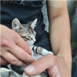https://cdn.yemek.com/author/486383/20230111072756_avatar.jpg