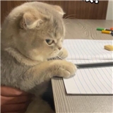 https://cdn.yemek.com/author/488948/20221017040547_avatar.jpg