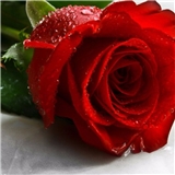https://cdn.yemek.com/author/499028/20221227082116_avatar.jpeg