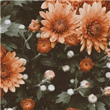 https://cdn.yemek.com/author/502035/20230127110734_avatar.jpg