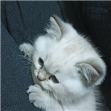 https://cdn.yemek.com/author/504869/20230331063613_avatar.jpg