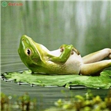 https://cdn.yemek.com/author/525099/20230519073958_avatar.png