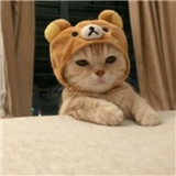 https://cdn.yemek.com/author/529300/20230604101441_avatar.png