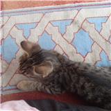 https://cdn.yemek.com/author/532194/20230730112826_avatar.png