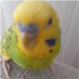 https://cdn.yemek.com/author/540111/20230819061017_avatar.png