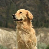 https://cdn.yemek.com/author/540216/20230712014342_avatar.png