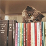 https://cdn.yemek.com/author/54865/20180228064907_avatar.jpg