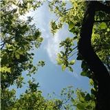 https://cdn.yemek.com/author/549323/20230812035606_avatar.jpg