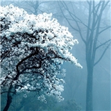 https://cdn.yemek.com/author/556094/20230912051035_avatar.png