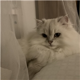 Deniz_İ