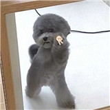 https://cdn.yemek.com/author/573274/20231115014632_avatar.png