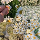 https://cdn.yemek.com/author/574411/20240615041914_avatar.png