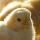 https://cdn.yemek.com/author/575410/20240118075037_avatar.png