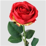 https://cdn.yemek.com/author/583230/20231224122451_avatar.png