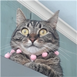 https://cdn.yemek.com/author/58740/20200927104300_avatar.jpeg