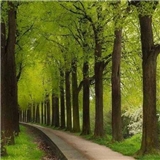https://cdn.yemek.com/author/596928/20240124022202_avatar.png