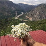https://cdn.yemek.com/author/606841/20240313094201_avatar.png