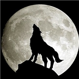 https://cdn.yemek.com/author/607454/20240322123511_avatar.png