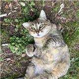 https://cdn.yemek.com/author/609410/20240409113230_avatar.png