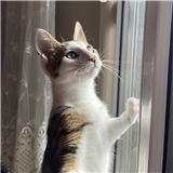 https://cdn.yemek.com/author/611698/20240327110643_avatar.png