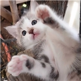 https://cdn.yemek.com/author/630937/20240728092901_avatar.png