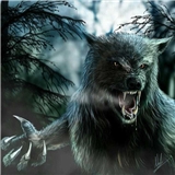 https://cdn.yemek.com/author/637617/20240828023635_avatar.png