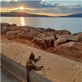 https://cdn.yemek.com/author/642120/20240918071900_avatar.jpg