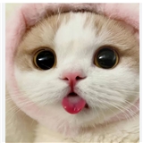 https://cdn.yemek.com/author/653041/20241113091221_avatar.png