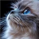 https://cdn.yemek.com/author/654115/20250418044630_avatar.png
