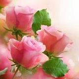 https://cdn.yemek.com/author/6569/20160315085844_avatar.jpg
