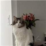 https://cdn.yemek.com/author/667927/20250222120358_avatar.png