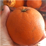 https://cdn.yemek.com/author/668867/20250125081737_avatar.png