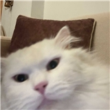 https://cdn.yemek.com/author/669380/20250122044822_avatar.png