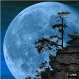 https://cdn.yemek.com/author/672046/20250302083740_avatar.png