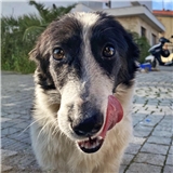 https://cdn.yemek.com/author/680864/20250303060302_avatar.png