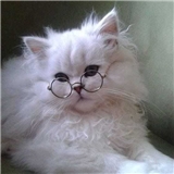 https://cdn.yemek.com/author/692409/20250410064403_avatar.png