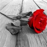 https://cdn.yemek.com/author/83562/20210123065857_avatar.jpg