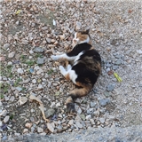 https://cdn.yemek.com/author/93649/20210929122142_avatar.jpg