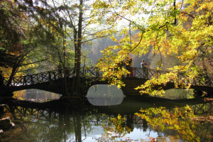 "Biz Burada Oldukça Sonbahar Hiç Bitmesin" Dedirten 11 Keyifli Rota