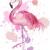 mypinkdreeams