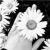 azra_59