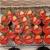 Tugba_karatag33