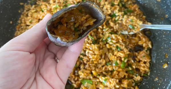 kuru-patlican-dolmasi-6