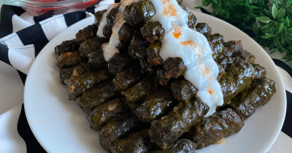 pazi-sarmasi7