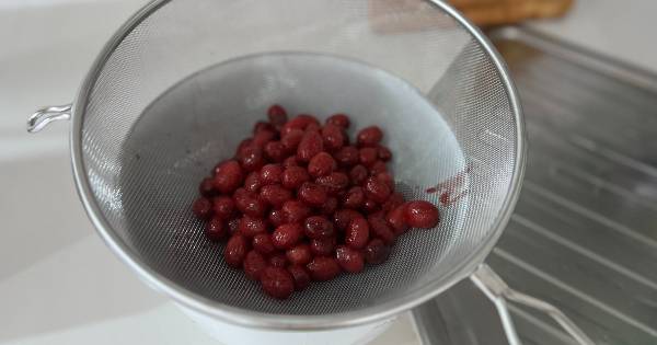kizilcik-serbeti3