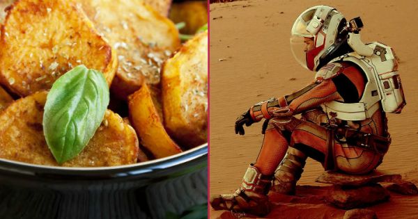 The Martian'dan Fesleğenli Fırın Patates