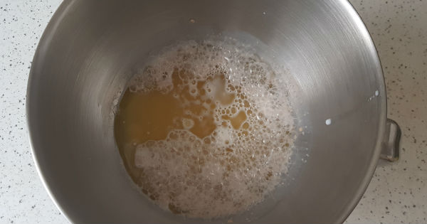 sodalipogaca1