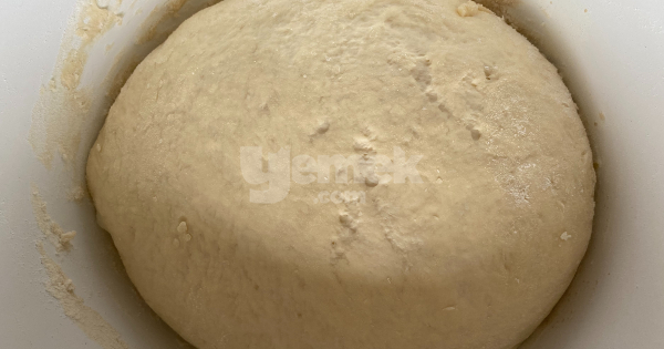 tavuk-tantuni2