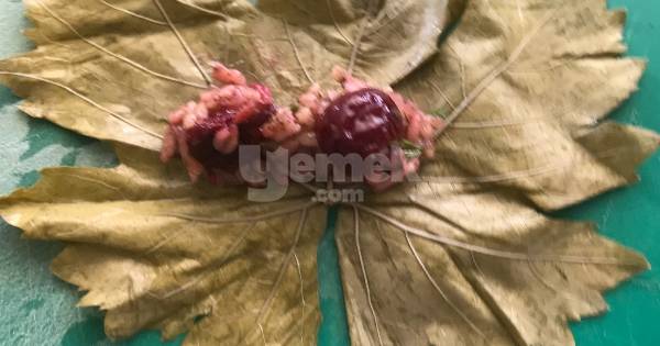 visneli-yaprak-sarma-yapim8