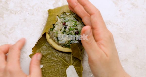 enginar-sarma-watermark-14